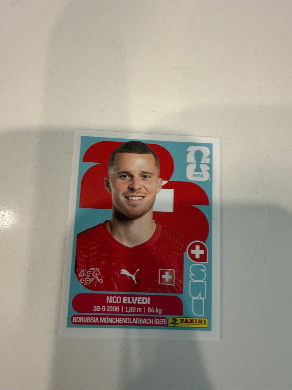 Panini Soccer Card - Red and Light Blue Design